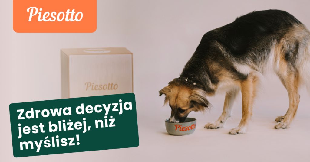 Od alergii po energię z Piesotto: przypadki, w których zmiana diety psa robi największą różnicę