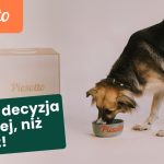 Od alergii po energię z Piesotto: przypadki, w których zmiana diety psa robi największą różnicę